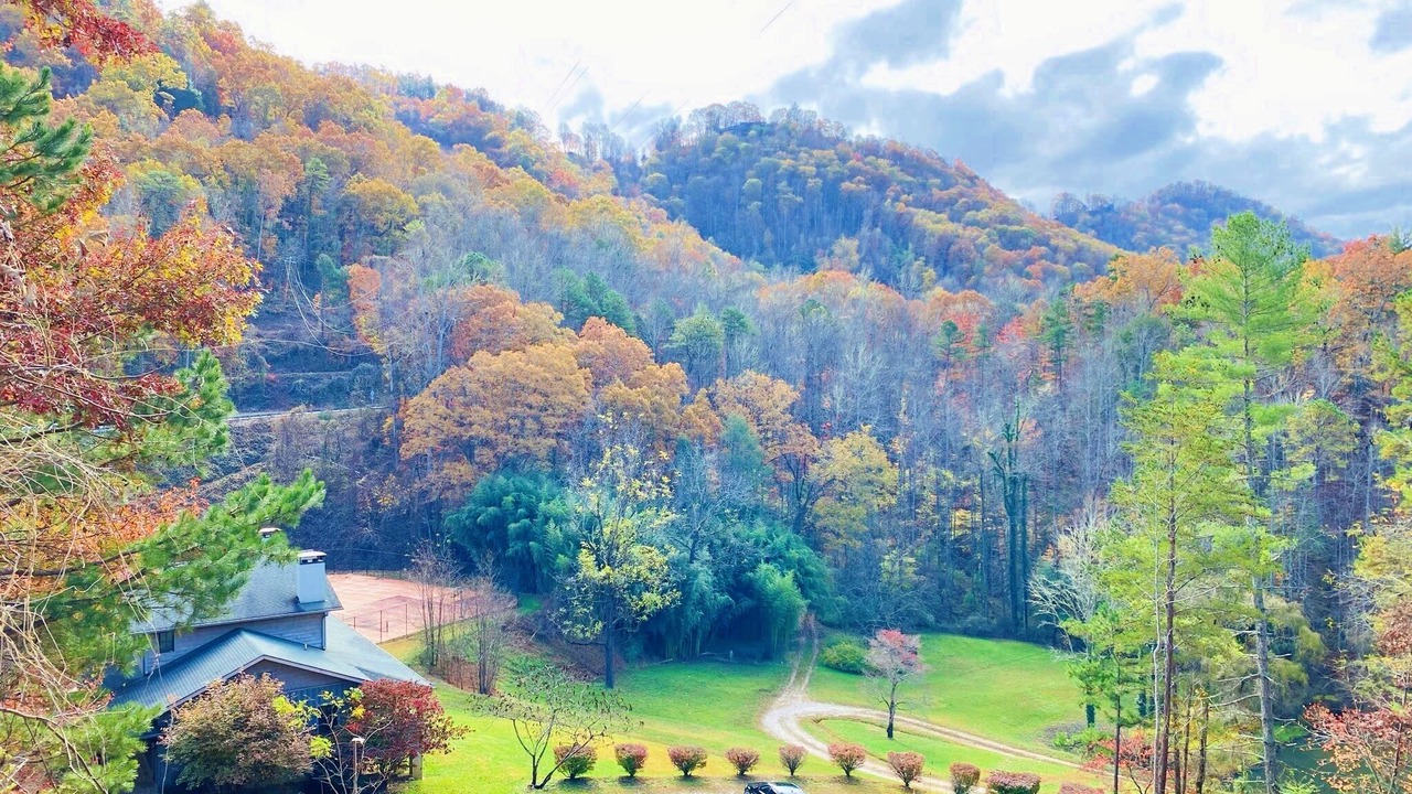 Photo of Others in Bryson City