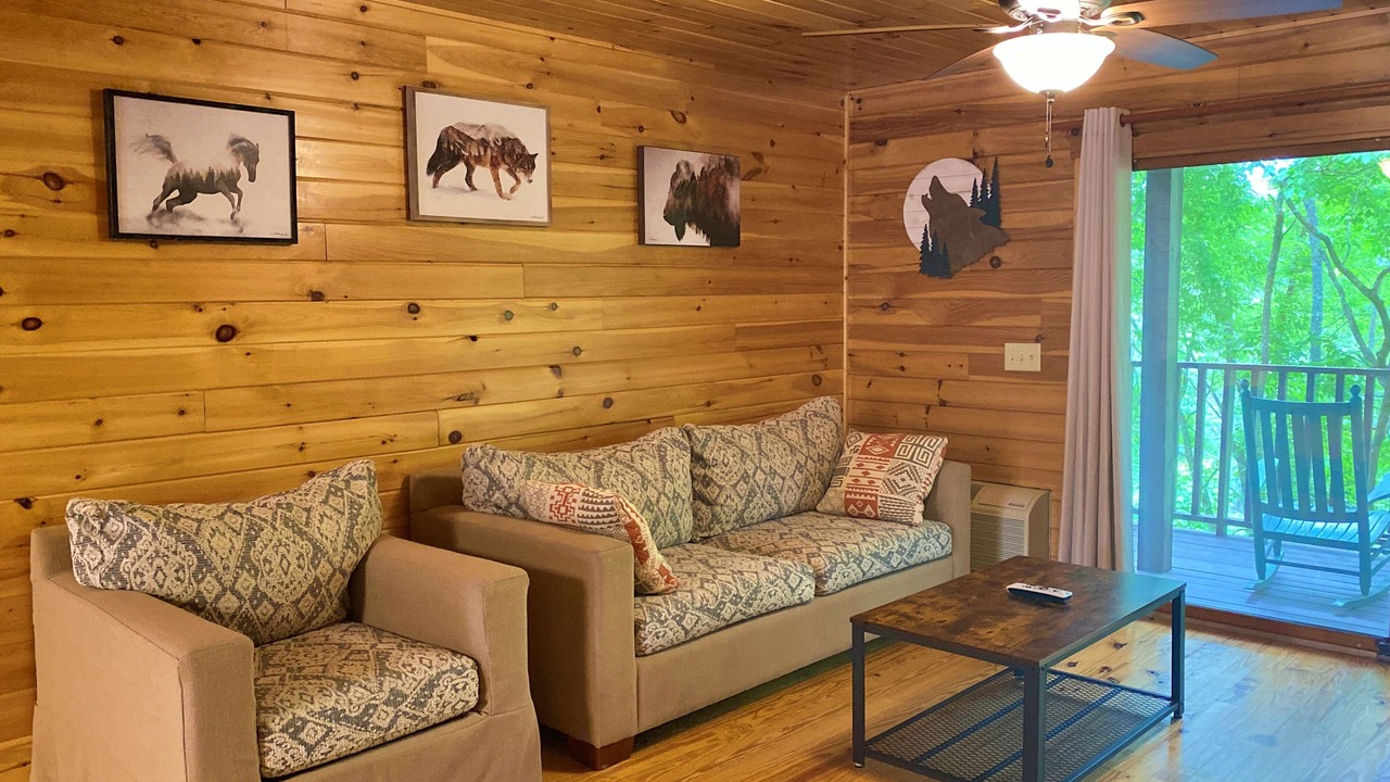 Photo of Livingroom in Bryson City