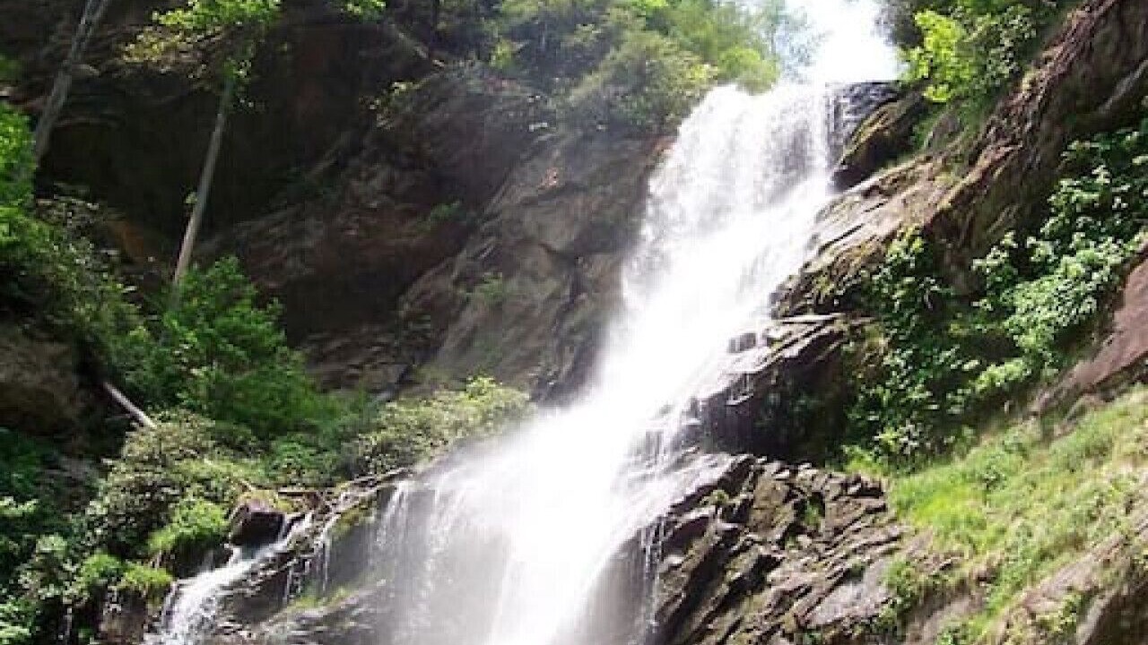 Photo of Outdoor in Sylva
