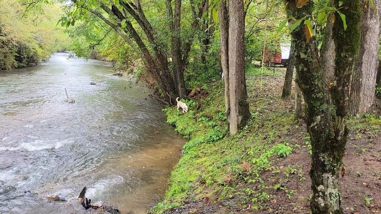 Photo of Outdoor in Brasstown