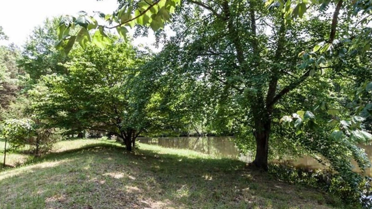 Photo of Others in Greensboro