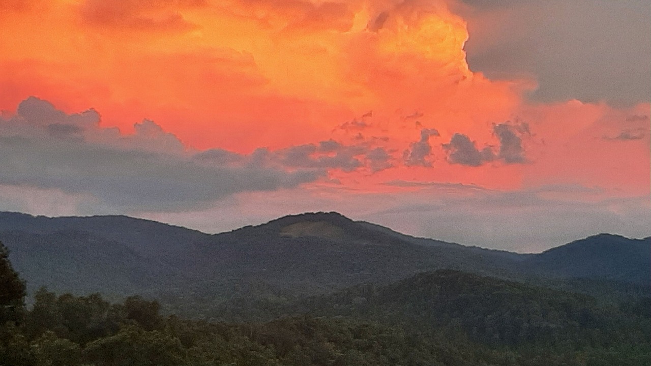 Photo of Others in Sylva