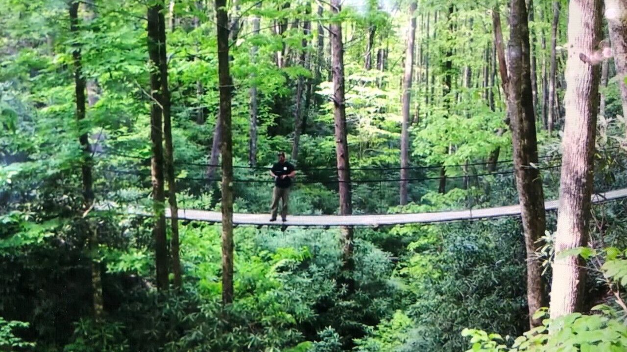 Photo of Others in Sylva