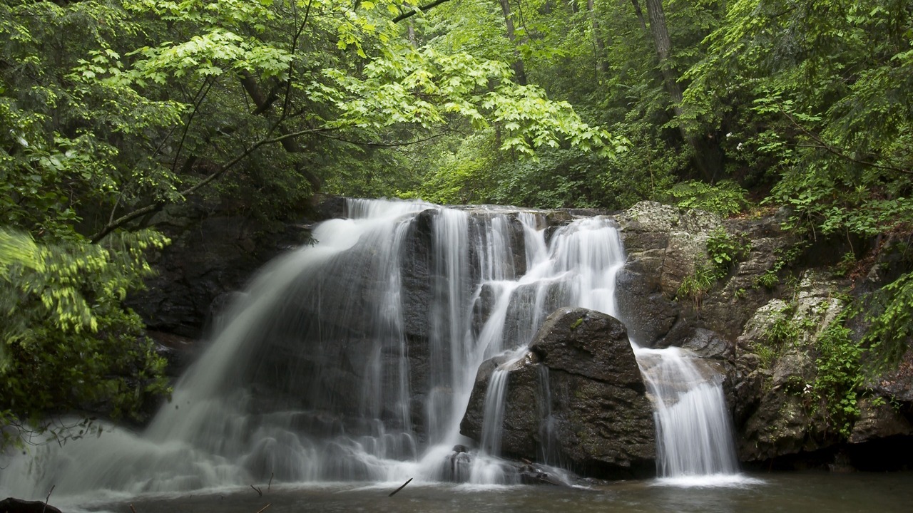 Photo of Outdoor in Mill Spring