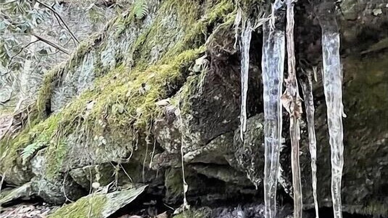 Photo of Outdoor in Piney Creek