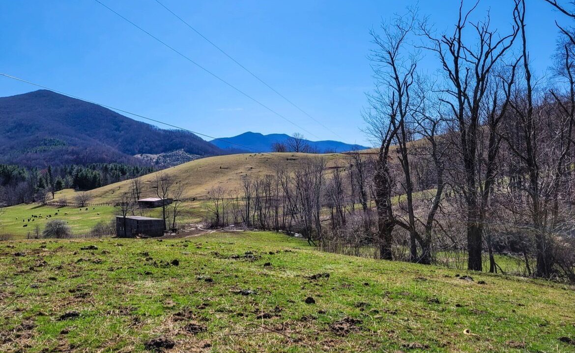 Photo of Outdoor in West Jefferson