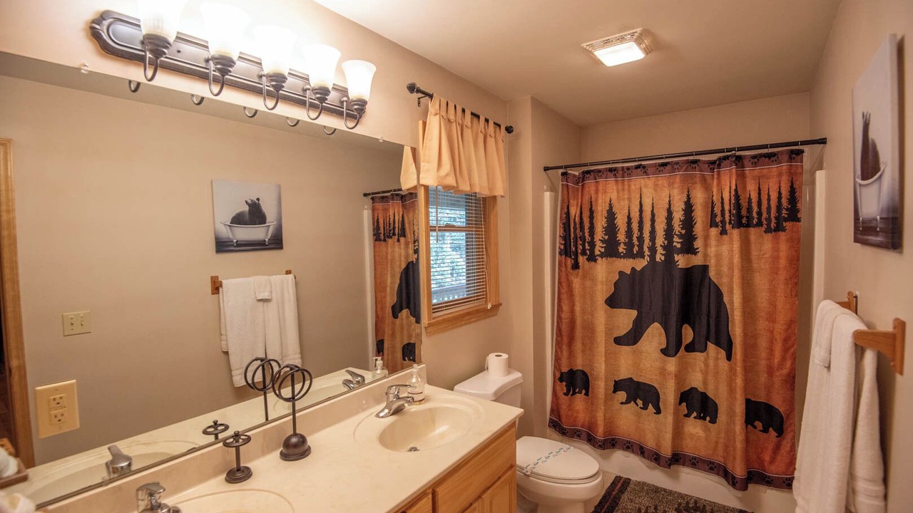 Photo of Bathroom in Piney Creek