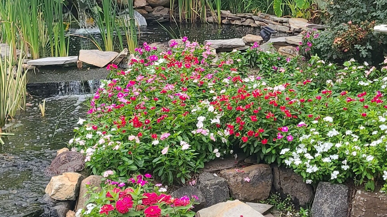 Photo of Outdoor in Northeast Raleigh