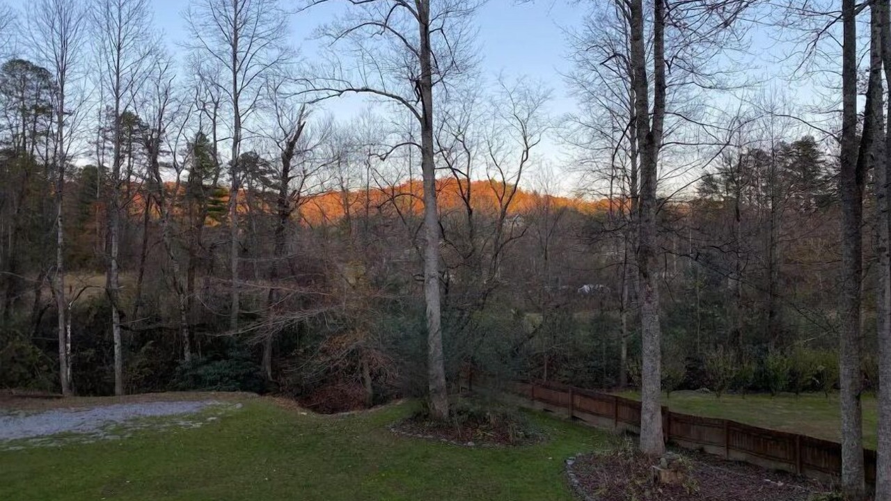 Photo of Others in Pisgah Forest