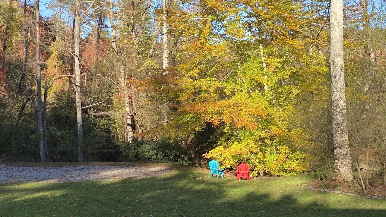 Photo of Others in Pisgah Forest
