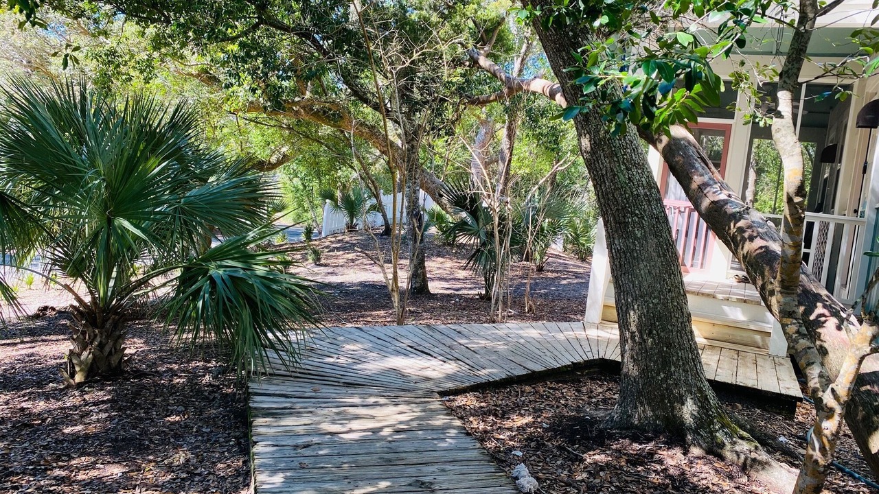 Photo of Others in Sabal Palm Cottages