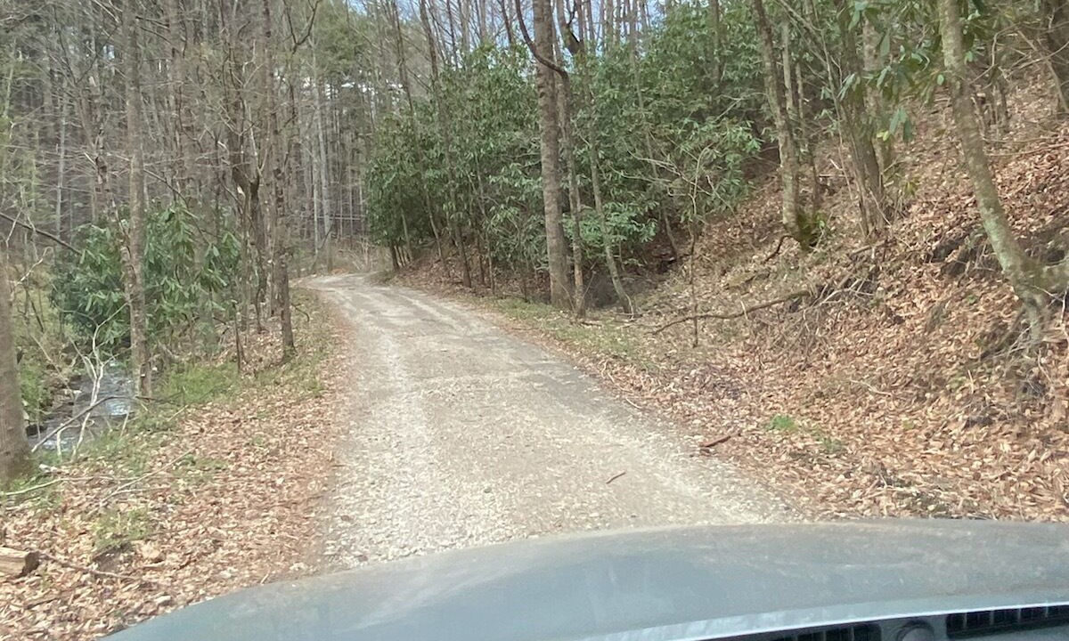 Photo of Others in Spruce Pine