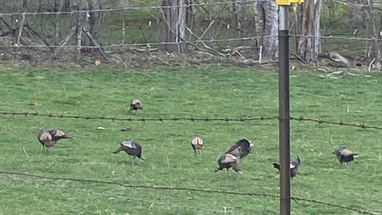Photo of Others in Spruce Pine