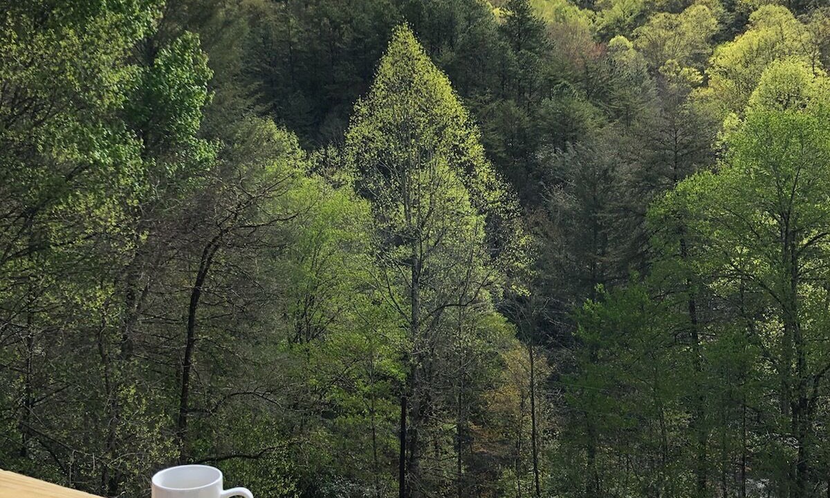 Photo of Others in Bryson City
