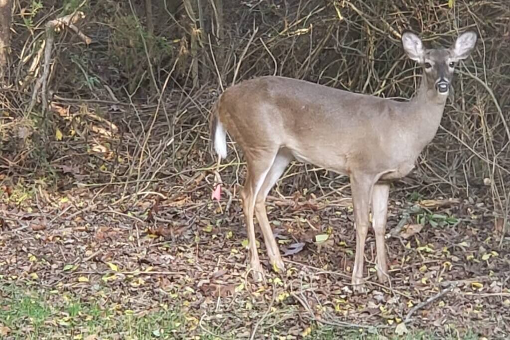 Photo of Others in Waxhaw