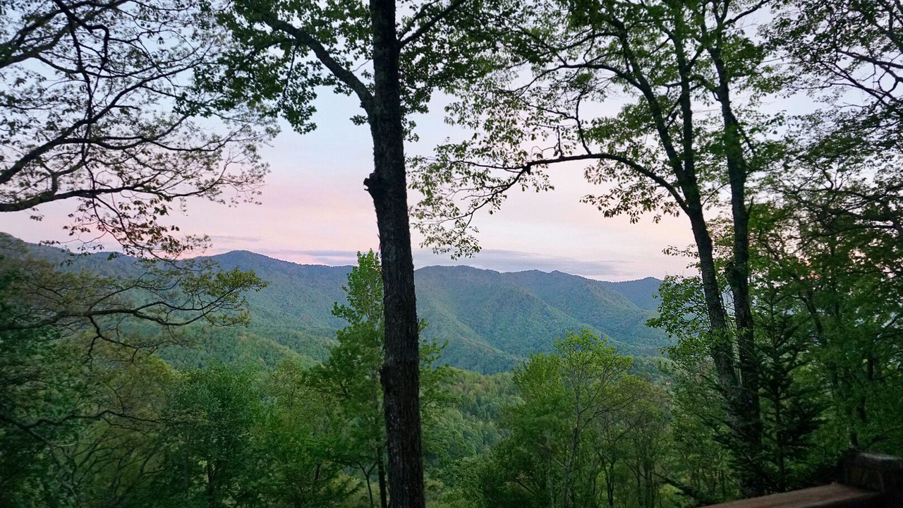 Photo of Others in Cranberry Falls