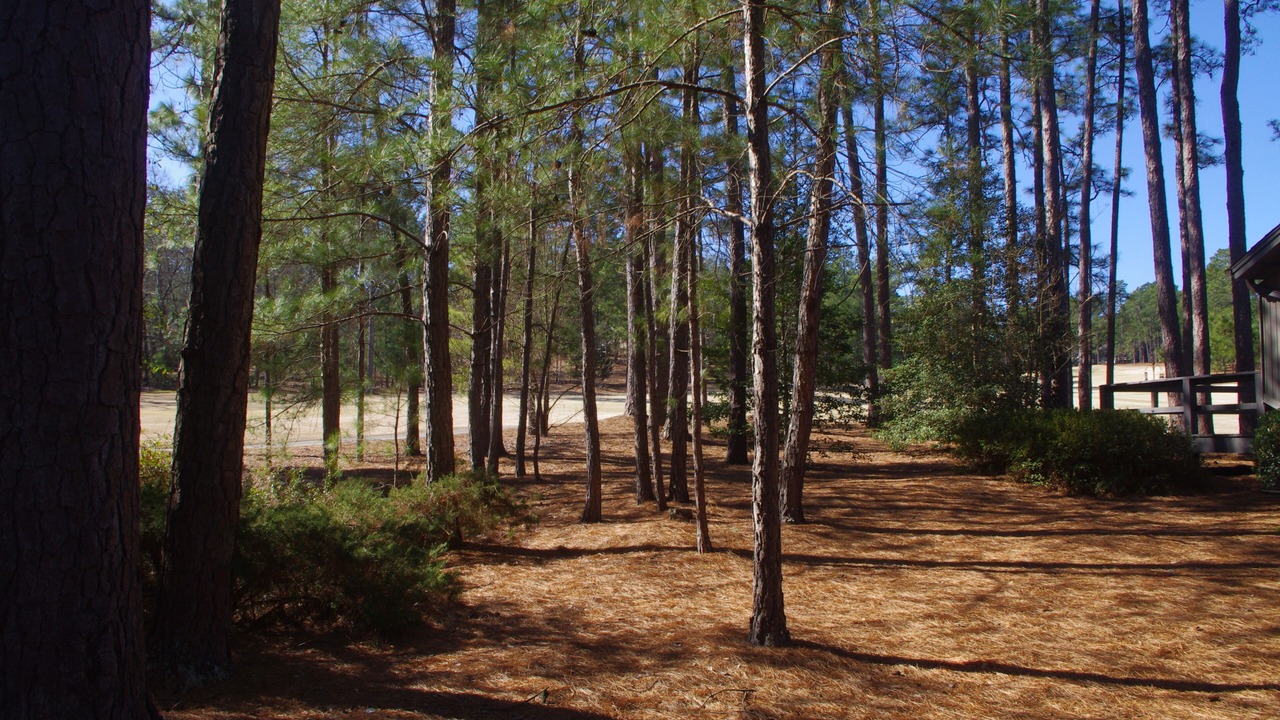 Photo of Outdoor in Pinehurst