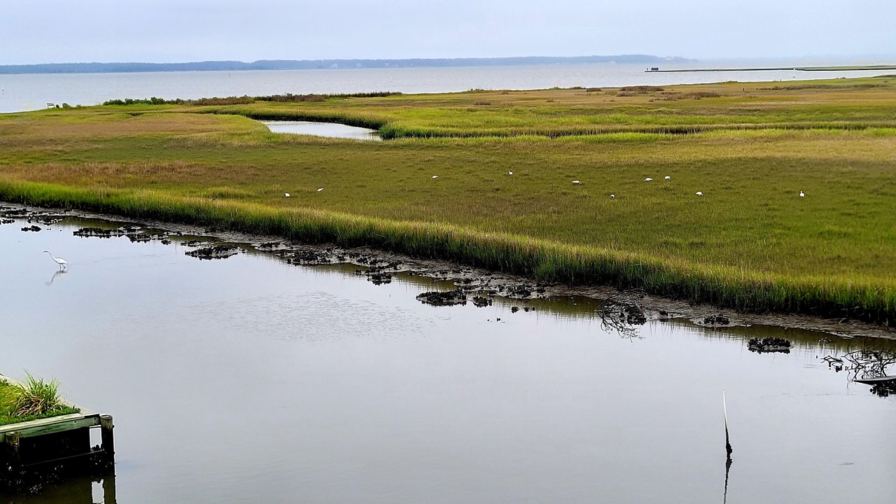 Photo of Others in Morehead City