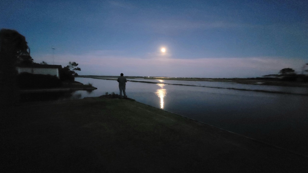 Photo of Others in Morehead City