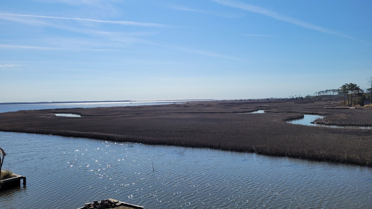 Photo of Others in Morehead City