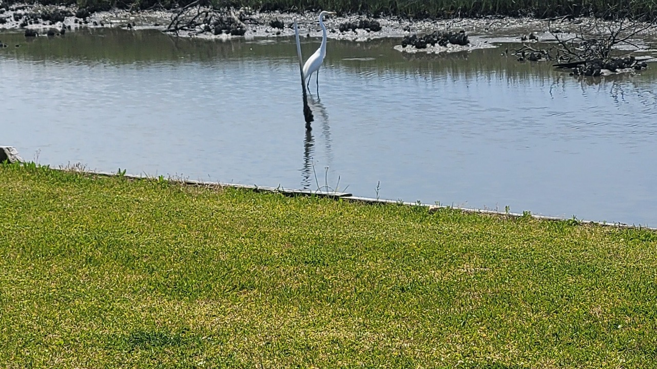 Photo of Outdoor in Morehead City