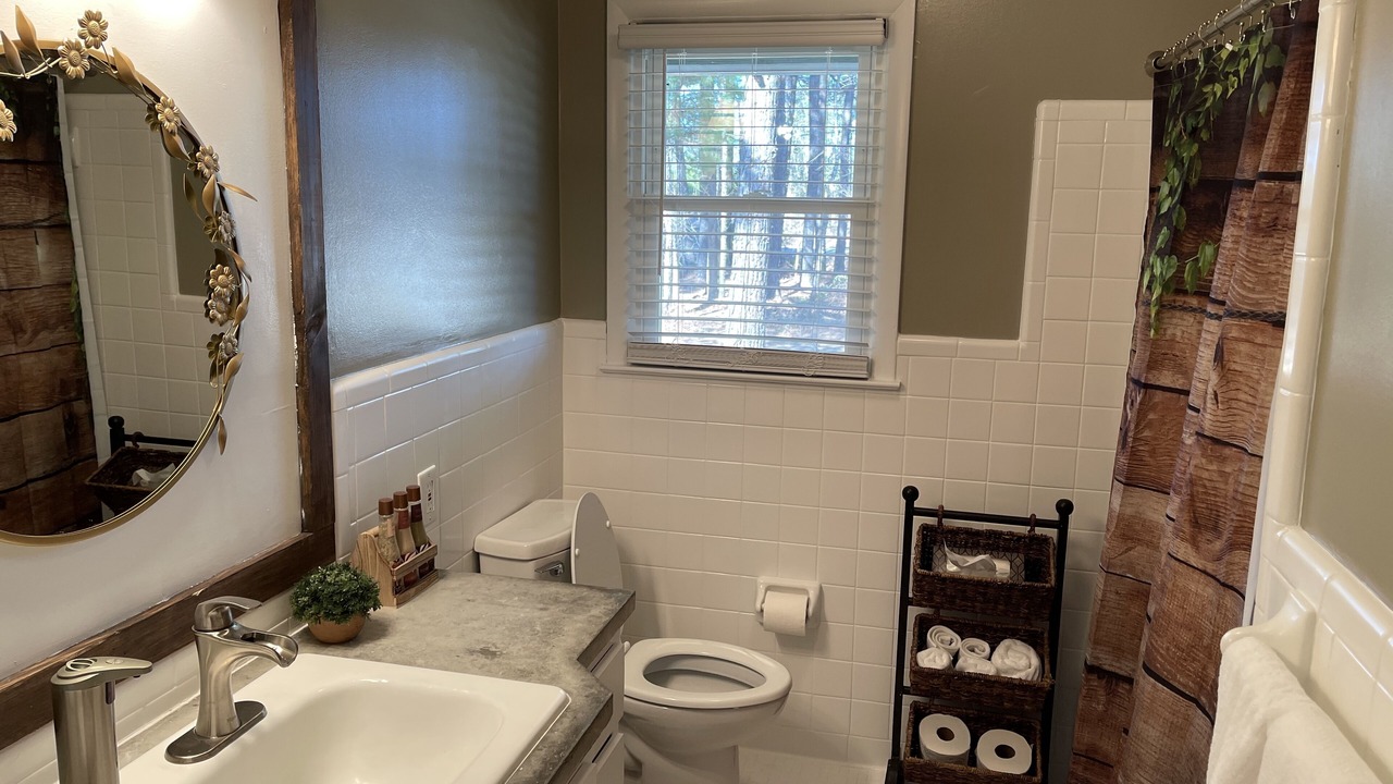 Photo of Bathroom in Apex