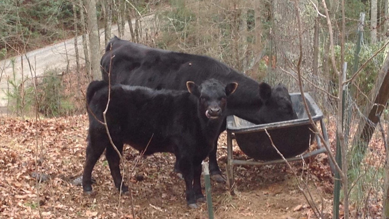 Photo of Others in Franklin