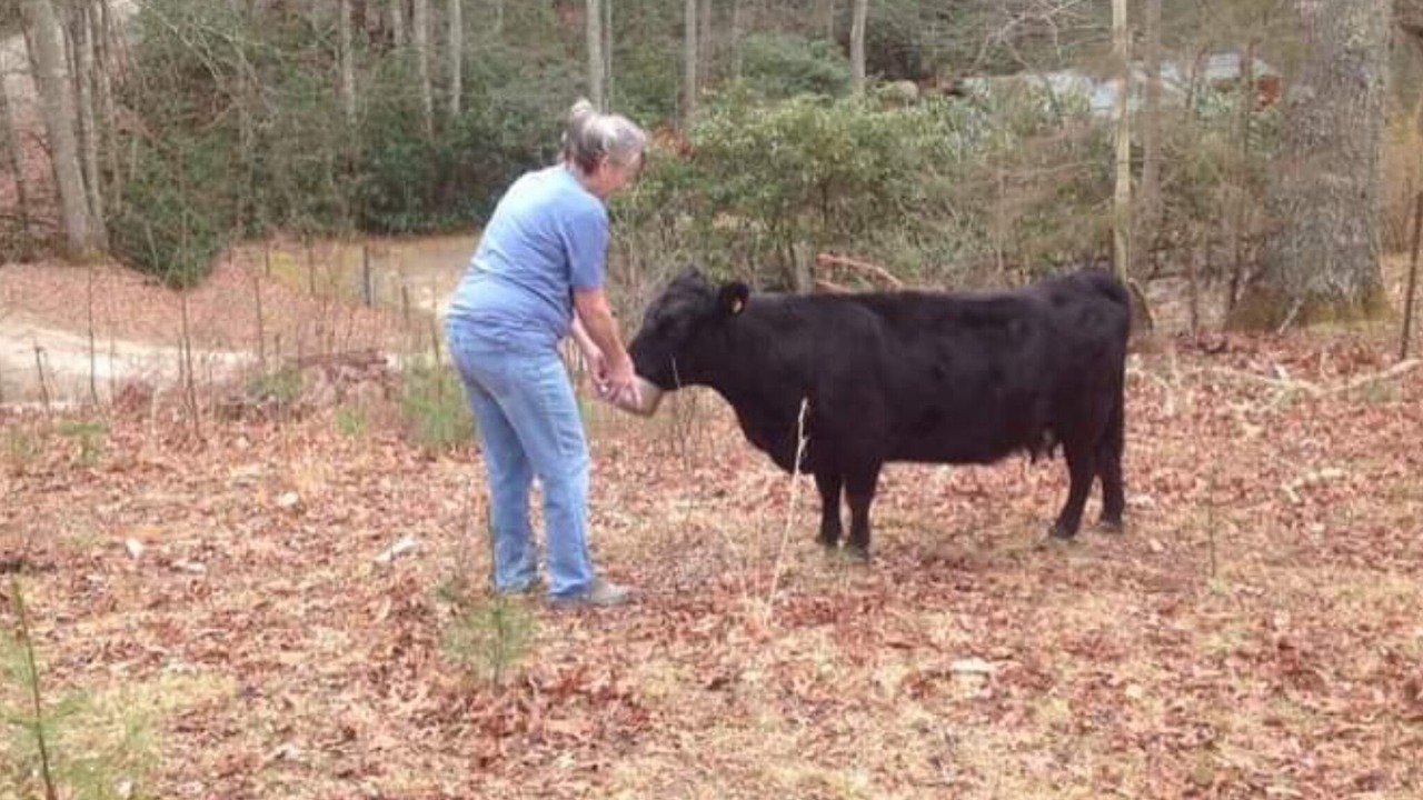 Photo of Others in Franklin