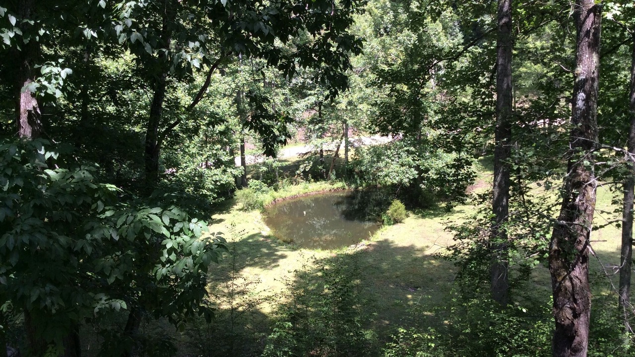 Photo of Outdoor in Franklin