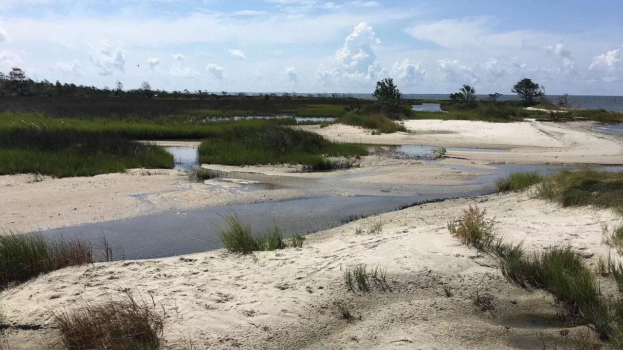 Photo of Others in Carteret County