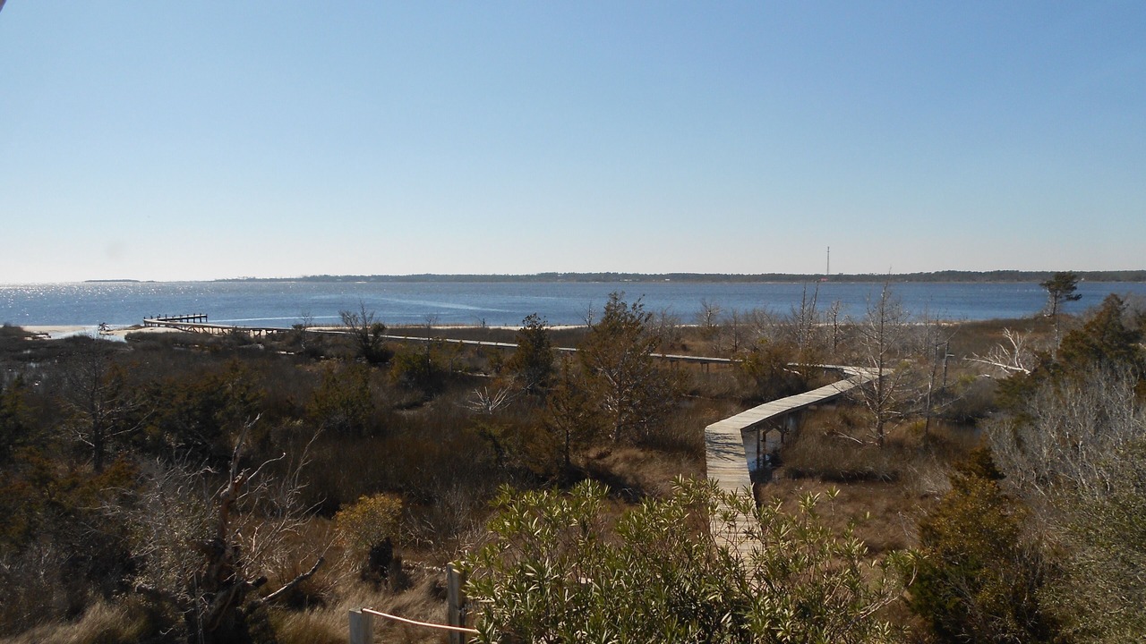 Photo of Outdoor in Carteret County