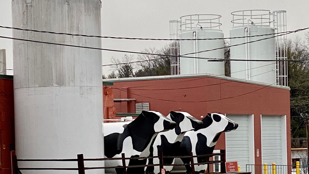 Photo of Outdoor in West Jefferson