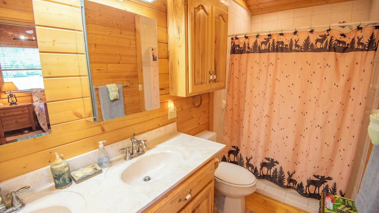 Photo of Bathroom in Laurel Springs