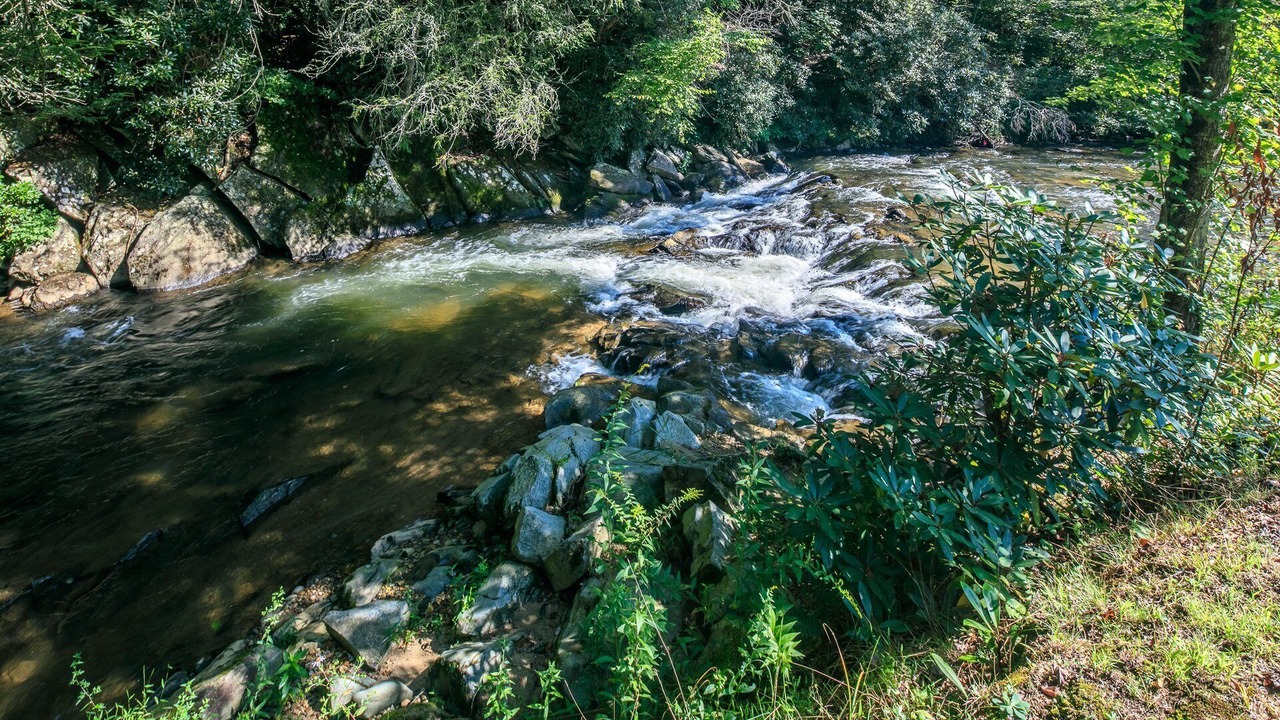Photo of Others in Laurel Springs