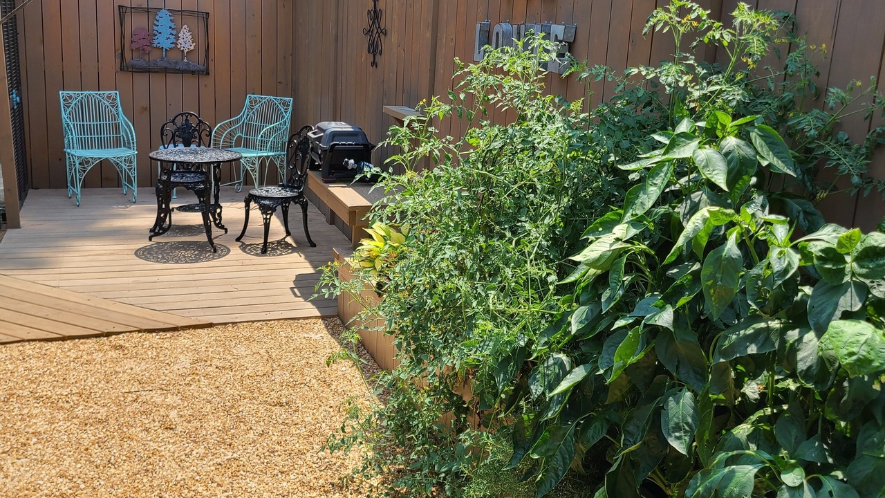 Photo of Outdoor in Northeast Raleigh