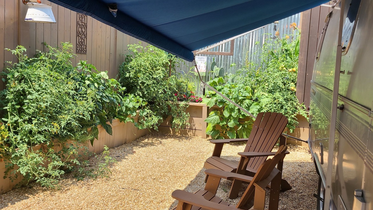 Photo of Outdoor in Northeast Raleigh