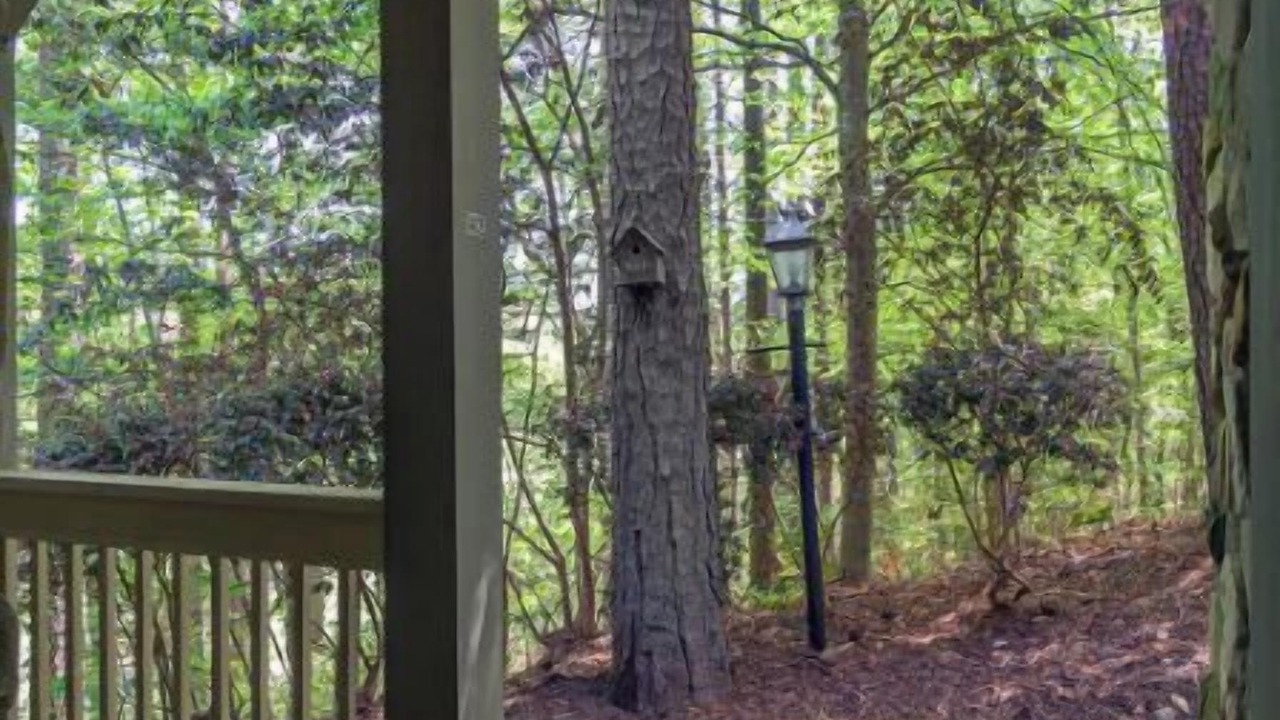 Photo of Outdoor in Lake Lure