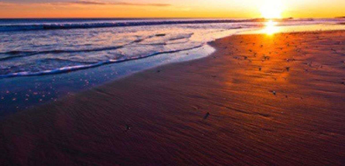 Photo of Others in Emerald Isle