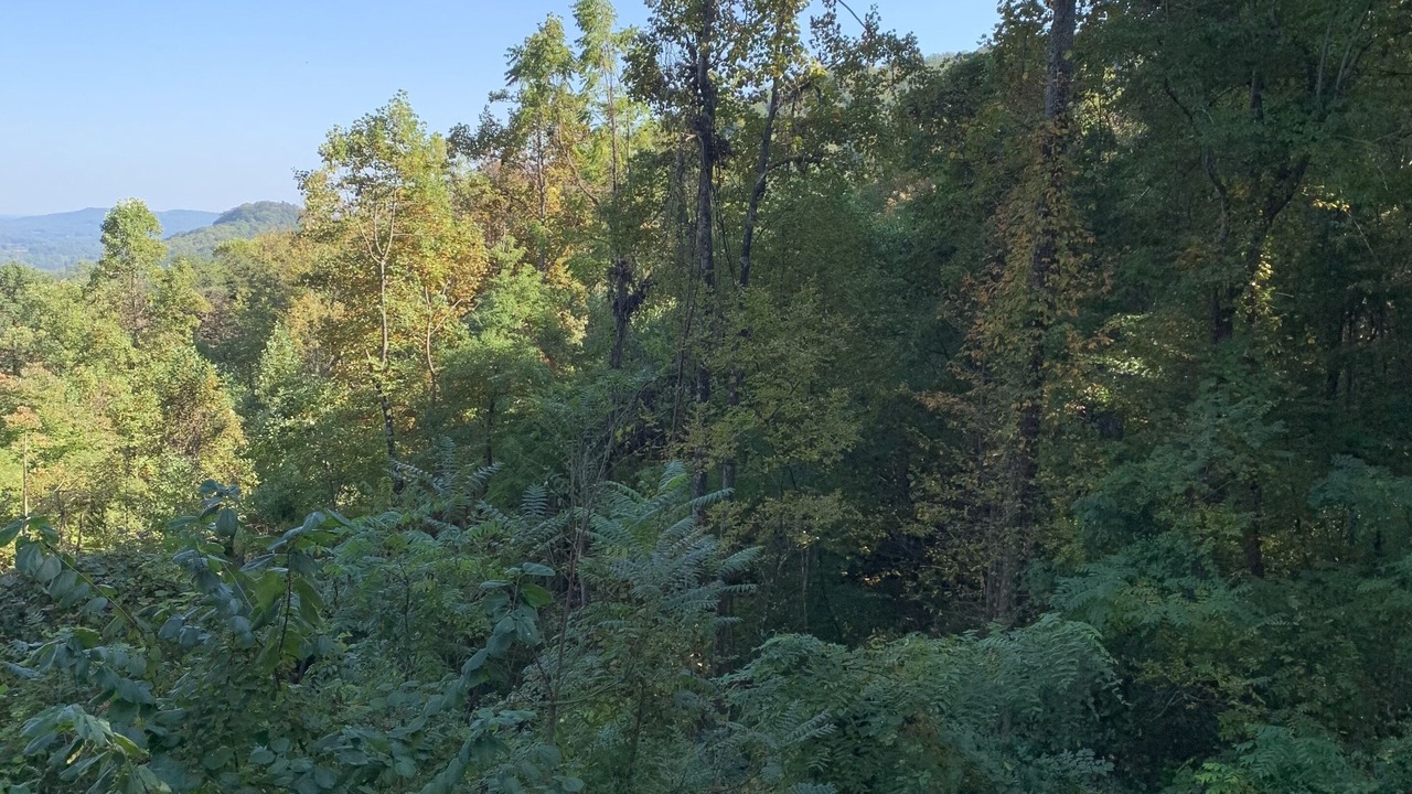 Photo of Outdoor in Moravian Falls