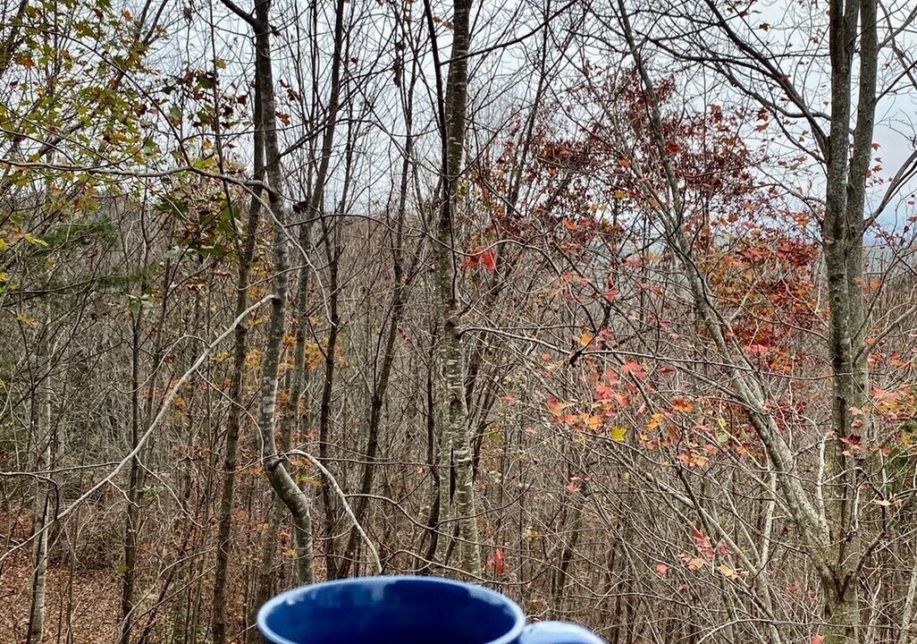 Photo of Outdoor in Laurel Lakes
