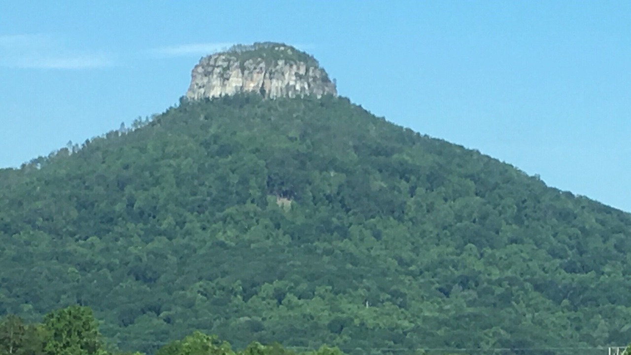 Photo of Others in King