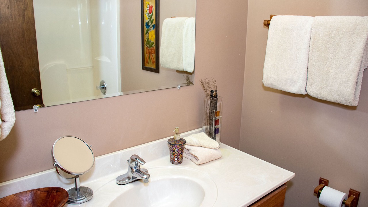 Photo of Bathroom in Wears Valley