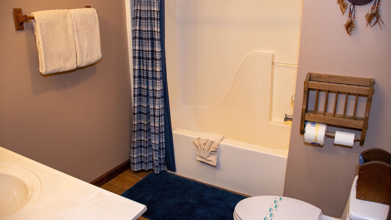 Photo of Bathroom in Wears Valley