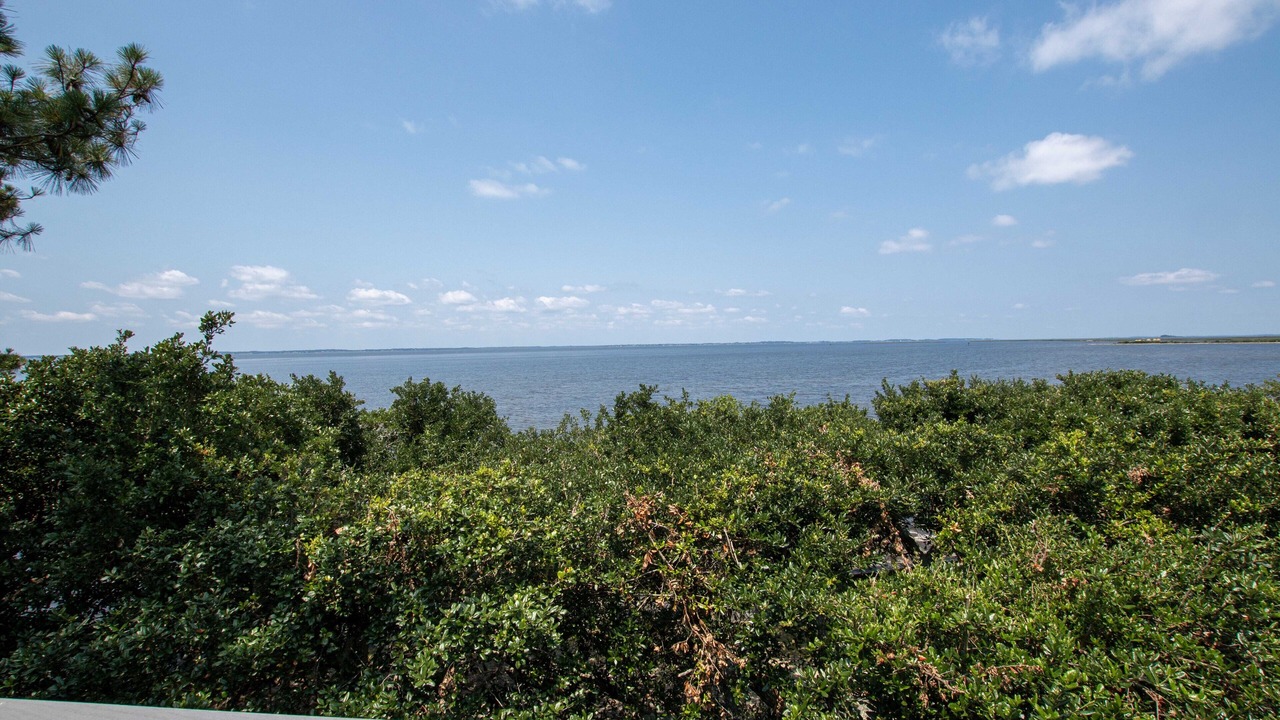 Photo of Others in Corolla Light