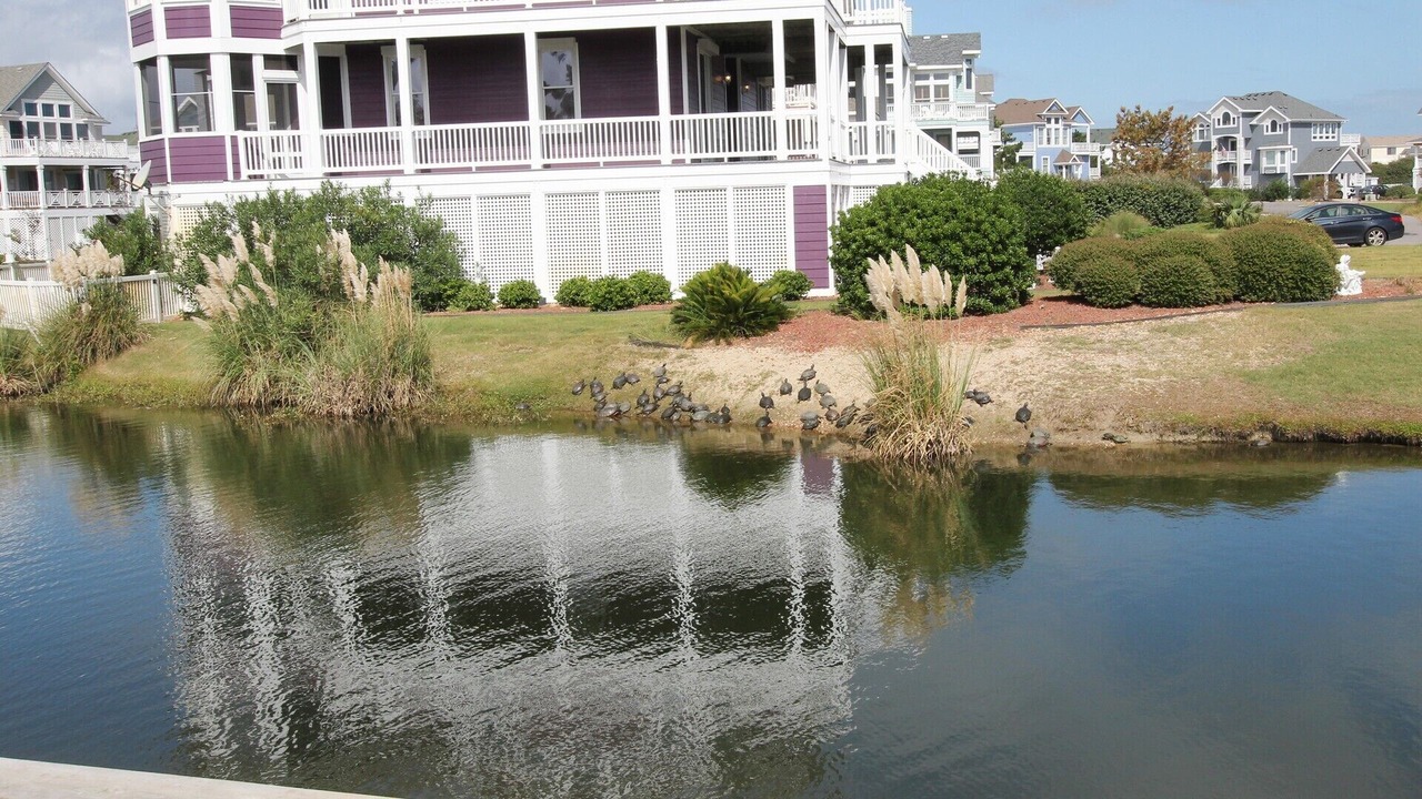 Photo of Outdoor in Buck Island