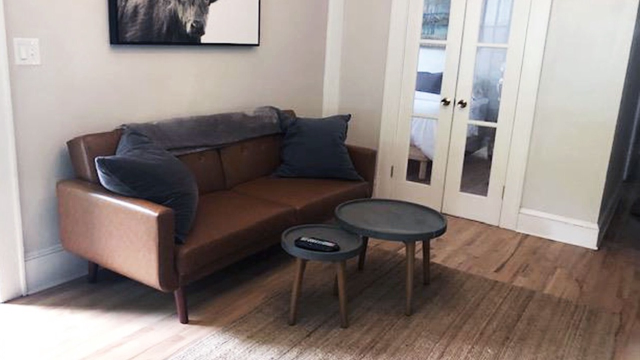 Photo of Livingroom in Plaza Midwood