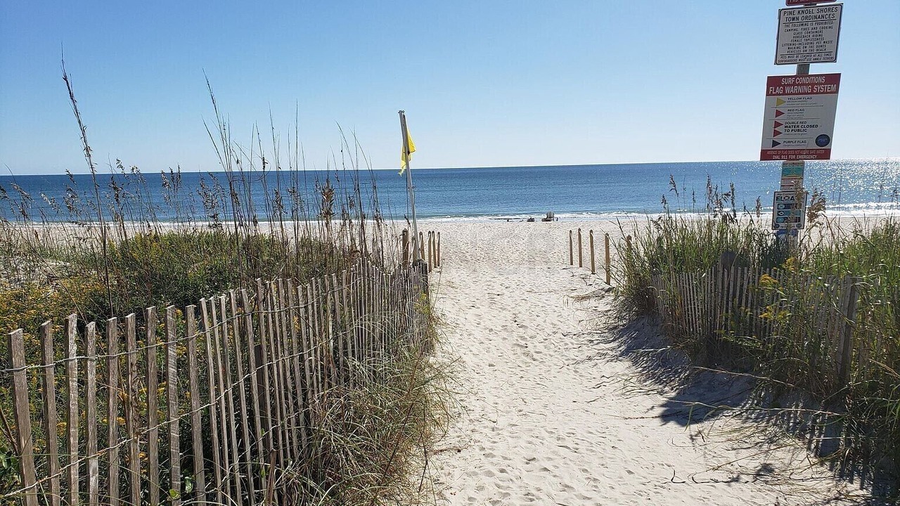 Photo of Others in Pine Knoll Shores