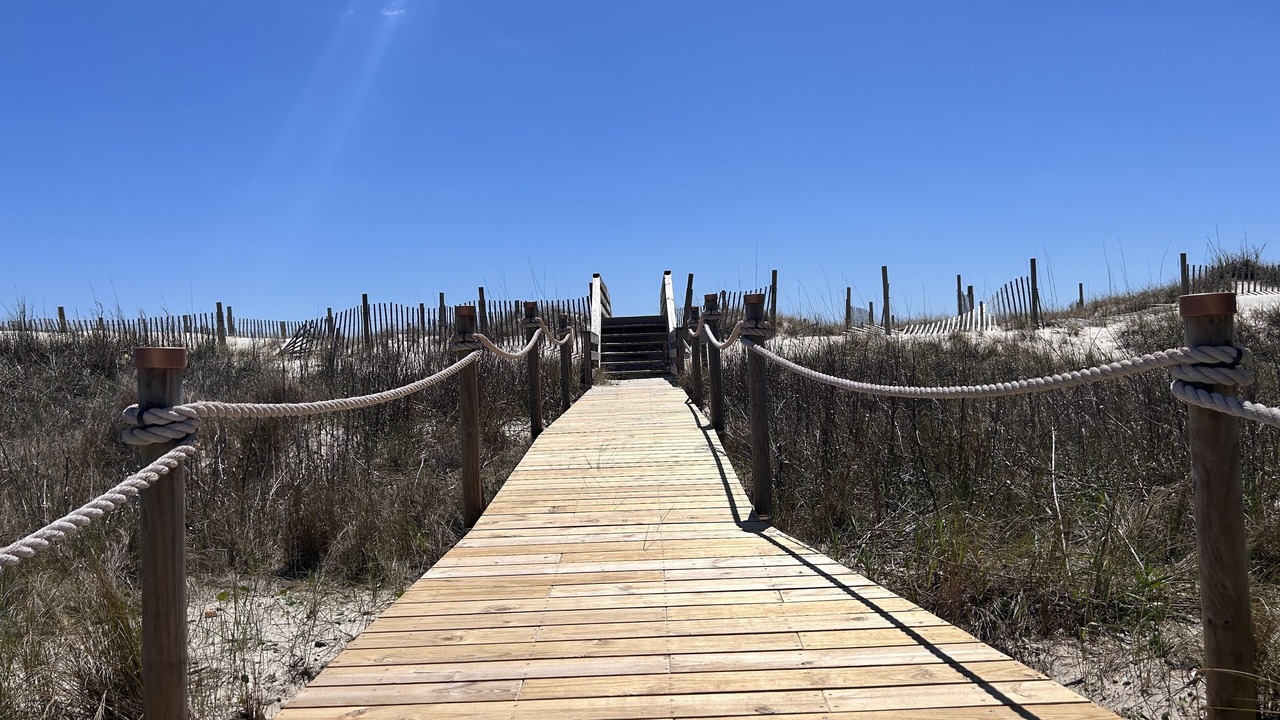 Photo of Others in Surf City