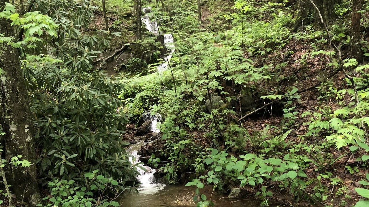 Photo of Outdoor in Candler