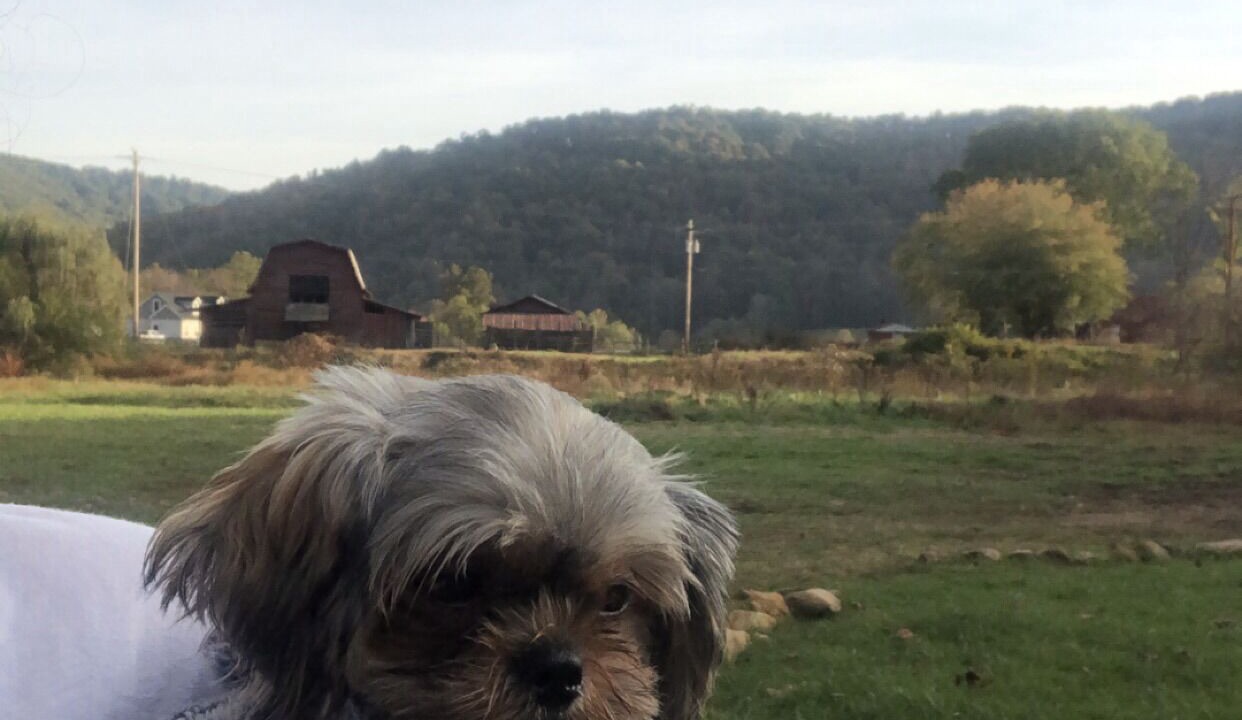 Photo of Others in Candler